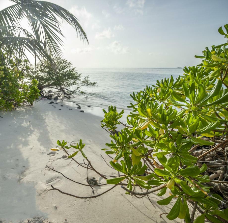 Portia Hotel & Spa Dhiffushi Exteriör bild
